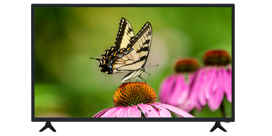 42.5インチモニターMFN43